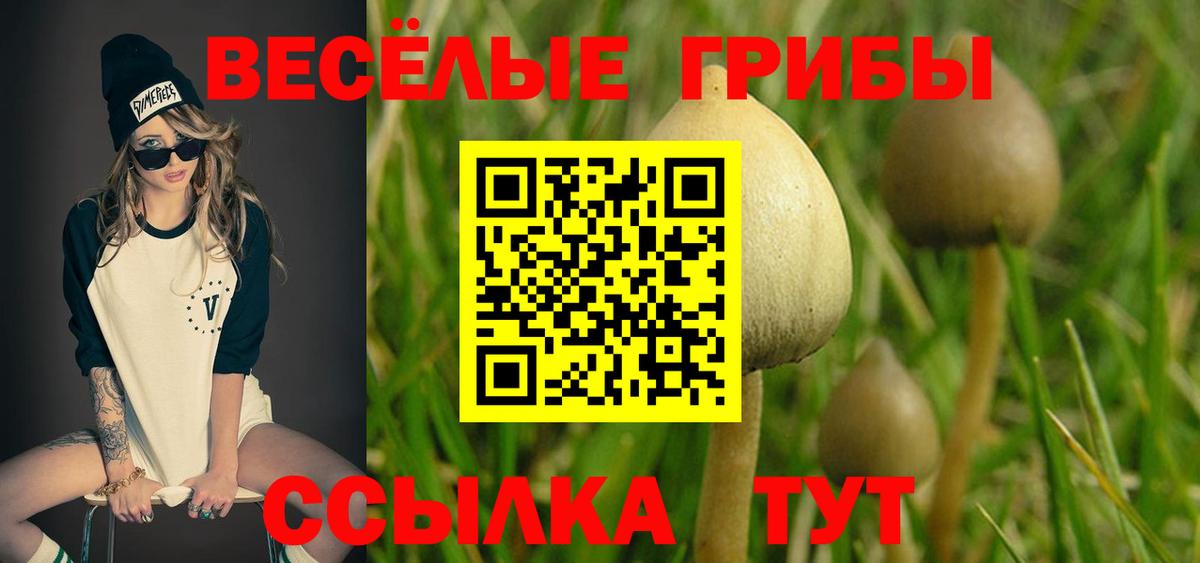 Псилоцибиновые грибы ЛСД  наркошоп  Стрежевой  Вход с VPN 